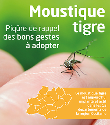 Prévention] Moustique tigre – Carrefour des Sciences et des arts