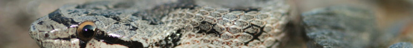 Carrefour des Sciences et des arts Carrefour des Sciences et des arts